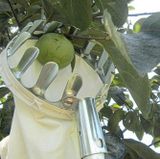 🔥HOT🔥 Dụng cụ hái trái cây trên cao đa năng 16cm có túi đựng tiện lợi