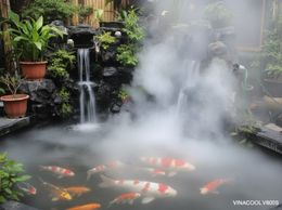 Tuyệt Chiêu" Làm Đẹp Hồ Koi, Hồ Cá: Máy Phun Sương Siêu Âm Vinacool Tạo Khói Sương Mù Mịt