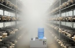 Thị Trường Đổ Xô Tìm Mua Vinacool - "Ông Hoàng" Tạo Ẩm Cho Nông Nghiệp Công Nghệ Cao