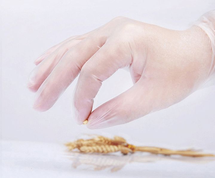 HỘP GĂNG TAY NHỰA TPE (100 cái)