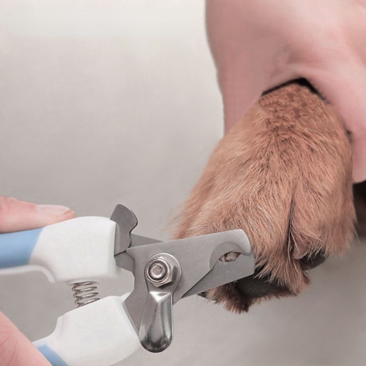 Kềm cắt móng dành cho thú cưng
