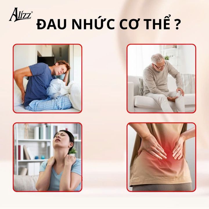 Máy massage cầm tay cá heo 6 đầu ALIZZ AL-14265