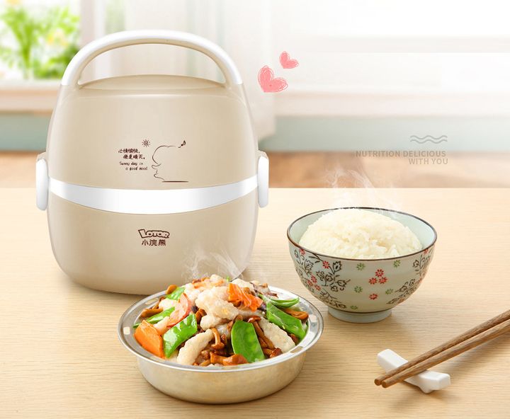Hộp cơm điện lotor