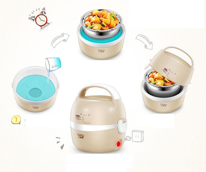Hộp cơm điện lotor