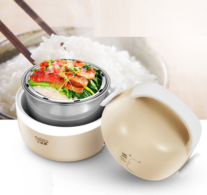 Hộp cơm điện lotor