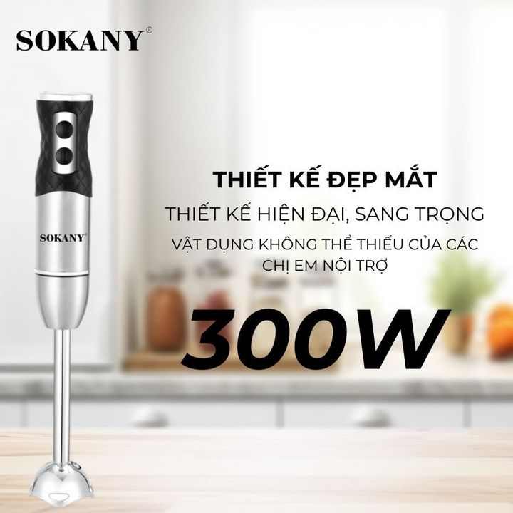 Máy Xay Cầm Tay 300W SKN-8010B