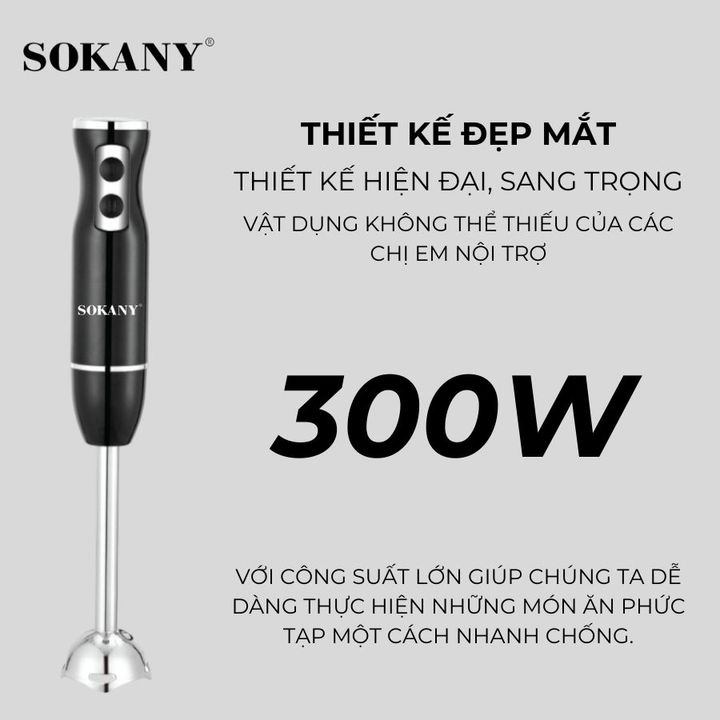 Máy Xay Cầm Tay 300W SKN-8009