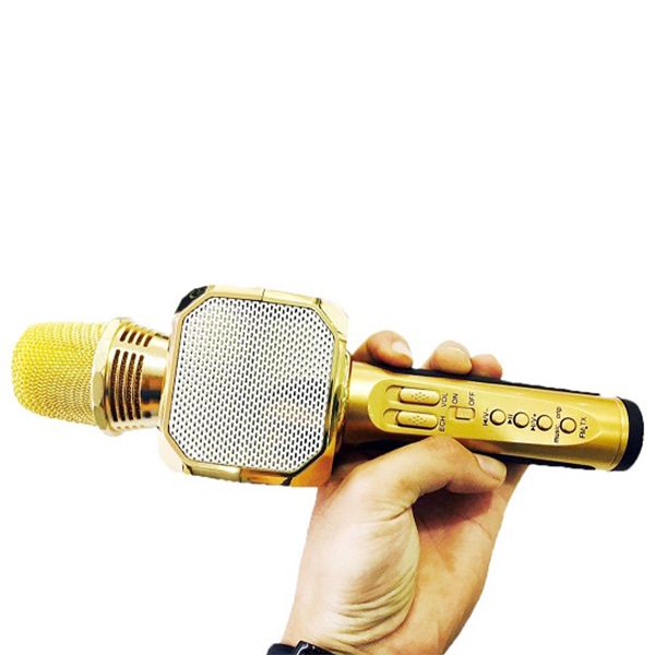 Micro kèm loa bluetooth karaoke SD10 siêu trầm