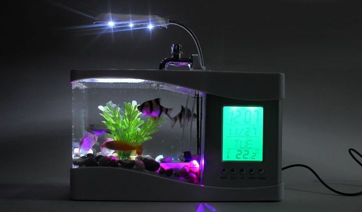 Bể cá mini tích hợp đèn led, đồng hồ, lọc nước, hộp đựng bút