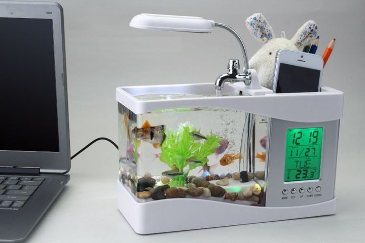 Bể cá mini tích hợp đèn led, đồng hồ, lọc nước, hộp đựng bút