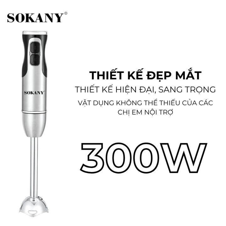 Máy Xay Cầm Tay 300W SKN-8010A