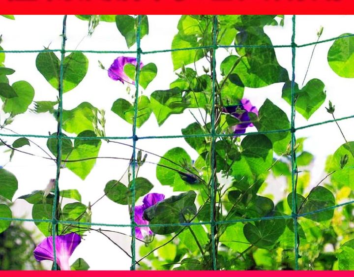 Lưới dây leo cho cây trồng 0.9x1.8m